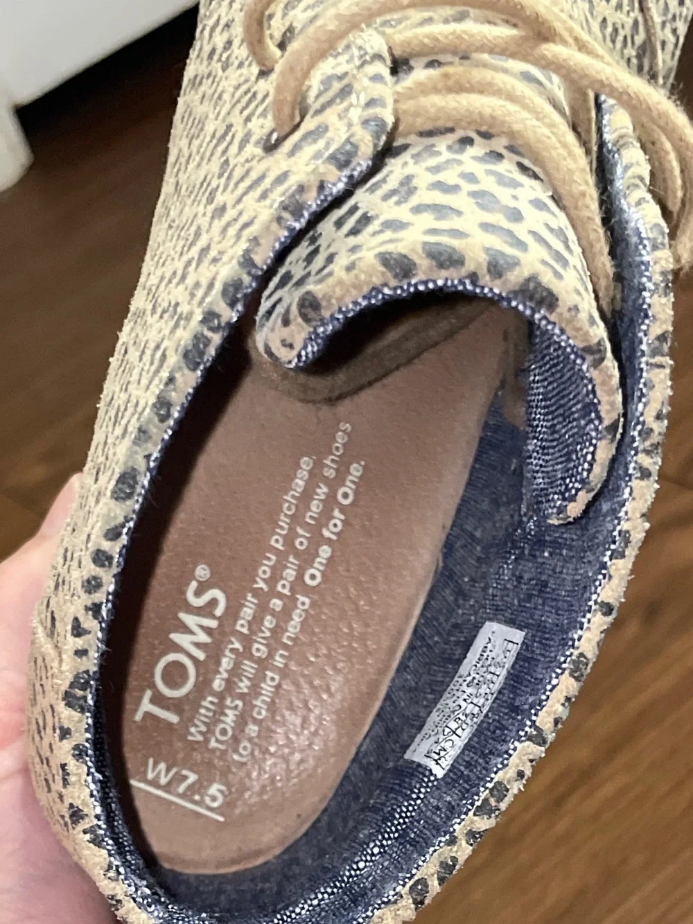 Toms 🐆 leopard